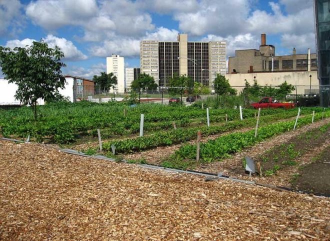 food demand, agricultural demand, urban agriculture, agricultural technology, food technology, agricultural advancements, earth population, human population, food needs, food growth, urban farm, urban gardening, urban food source, urban food solution