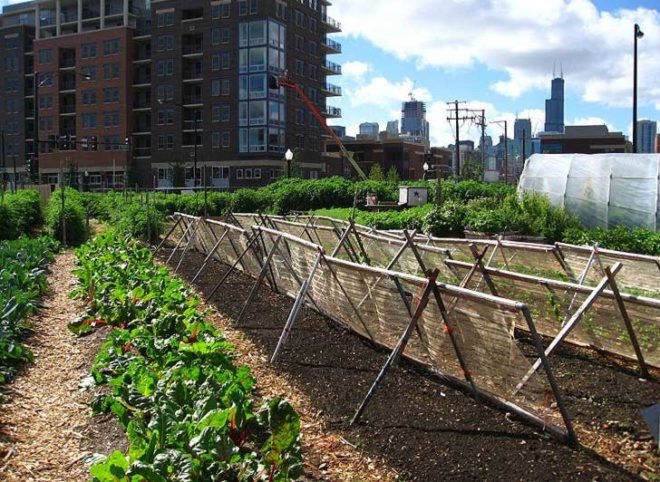 food demand, agricultural demand, urban agriculture, agricultural technology, food technology, agricultural advancements, earth population, human population, food needs, food growth, urban farm, urban gardening, urban food source, urban food solution