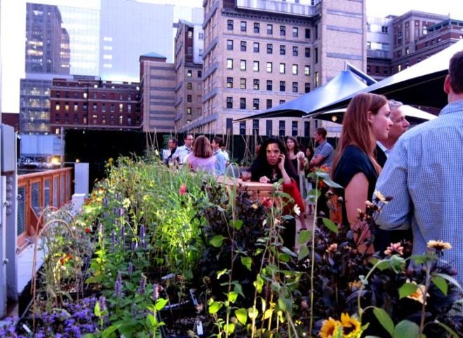 food demand, agricultural demand, urban agriculture, agricultural technology, food technology, agricultural advancements, earth population, human population, food needs, food growth, urban farm, urban gardening, urban food source, urban food solution