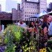 food demand, agricultural demand, urban agriculture, agricultural technology, food technology, agricultural advancements, earth population, human population, food needs, food growth, urban farm, urban gardening, urban food source, urban food solution