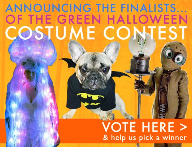 costume contest, diy halloween costume, eco costumes, eco halloween, eco halloween costume, green costumes, green halloween, halloween costume contest, handmade halloween costume, Inhabitat 2011 Green Halloween Costume Contest, organic halloween costume, Do-It-Yourself Halloween Costume, homemade halloween costume, green halloween costume contest