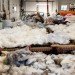 New York State Sheep and Wool Festival, Hudson Valley Sheep and Woold Company, Hudson Valley, rural, Laura Sansone, design, designer, sustainable design, fashion, fashion design, wool, felt, felting, fleece, sheep, plants, animals, natural dye, natural dyes, nature, local, local economy, sustainable, sustainability, cottage industry, New York, textiles, textile design, fashion designer, natural fibers, farm, mill, rural, green, green design