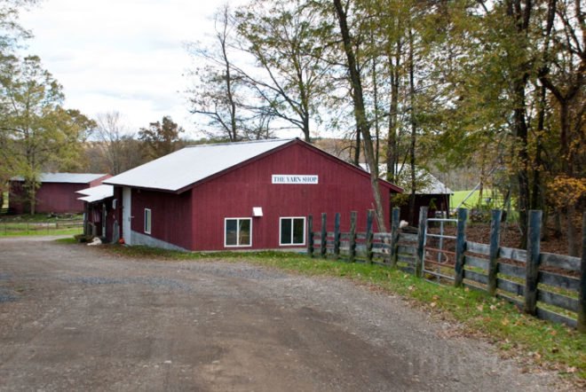 New York State Sheep and Wool Festival, Hudson Valley Sheep and Woold Company, Hudson Valley, rural, Laura Sansone, design, designer, sustainable design, fashion, fashion design, wool, felt, felting, fleece, sheep, plants, animals, natural dye, natural dyes, nature, local, local economy, sustainable, sustainability, cottage industry, New York, textiles, textile design, fashion designer, natural fibers, farm, mill, rural, green, green design