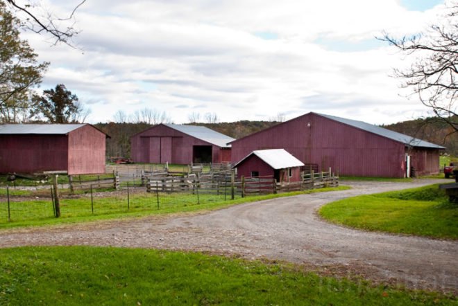 New York State Sheep and Wool Festival, Hudson Valley Sheep and Woold Company, Hudson Valley, rural, Laura Sansone, design, designer, sustainable design, fashion, fashion design, wool, felt, felting, fleece, sheep, plants, animals, natural dye, natural dyes, nature, local, local economy, sustainable, sustainability, cottage industry, New York, textiles, textile design, fashion designer, natural fibers, farm, mill, rural, green, green design