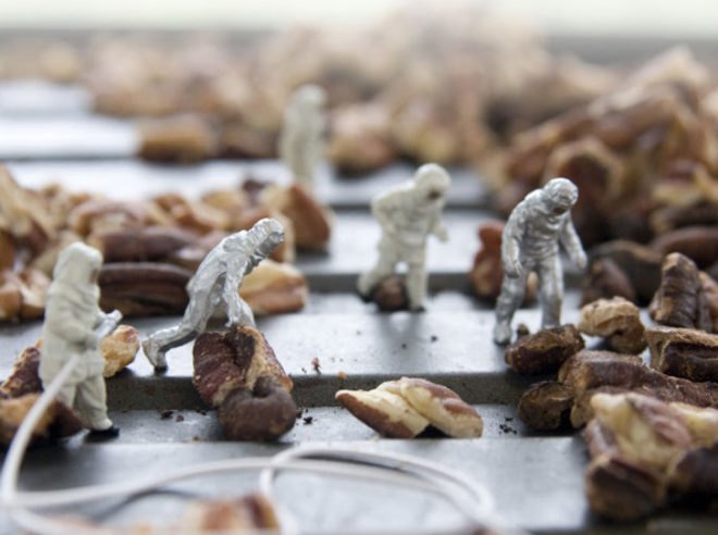 Mathew Carden, photography, sustainable food, Small World, food photography, food supply, origin of food