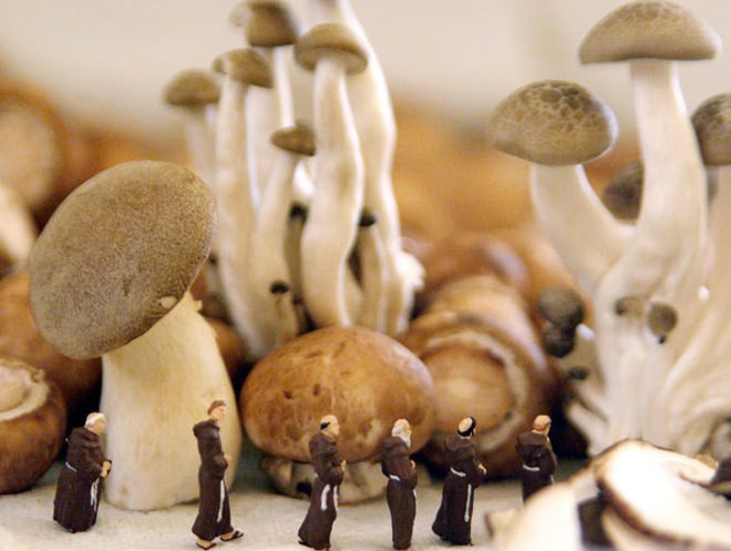 Mathew Carden, photography, sustainable food, Small World, food photography, food supply, origin of food