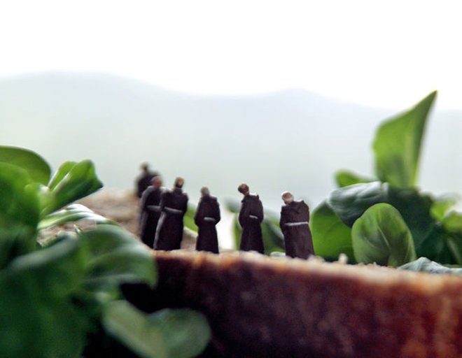 Mathew Carden, photography, sustainable food, Small World, food photography, food supply, origin of food