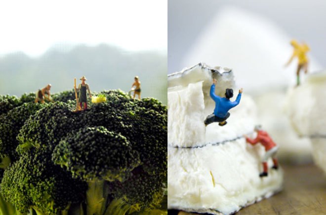 Mathew Carden, photography, sustainable food, Small World, food photography, food supply, origin of food