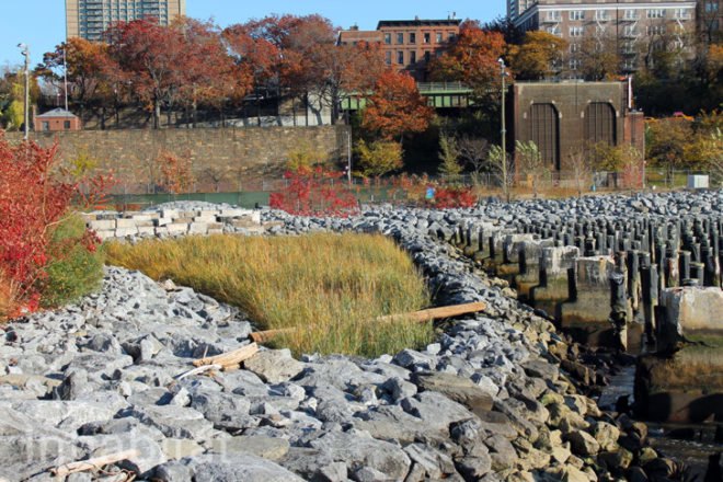 nycse, brooklyn bridge park, brooklyn bridge park pier 1, new york center for sustainable energy, solar power, ev charging station, gensler, beautiful earth group