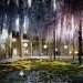 green design, eco design, sustainable design, Nadau Lavergne, La Rive Doman Campground, green roof, Glass Curtain, timber structures