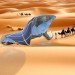 Ap Verheggen, SunGlacier, Sahara, Sahara desert, the Netherlands, shipping container, condensation, water, desert, ice, green design, art, environmental art, sustainable design, eco-design, UNESCO, UNESCO-IHE