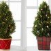 green design, eco design, sustainable design, Superstar Tree, Cardboard Christmas Tree, LED Christmas Tree, Zedomax, Modernica Studio, Love Birch Wood Tree, Shop Horne, Dowel Rod Tree, Possibilitree, Muji, Massimo Tree, Living Tree, FTD Flowers, Cascades, GigglingGnome, Recycled Christmas Tree, sustainable Christmas, Green Christmas, recycled materials