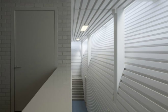 Tulip Building, TNW sports hall, gymnastics hall, natural daylighting, utrecht, NL Architects