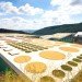 World Production, Energy and Recycling building, World Architecture Festival, Batlle i Roig, Waste treatment plan, landfill, environmental degradation, green design, sustainable design, eco design, green design, water treatment, skylights, green roof, crop circles, geometric design, Spain