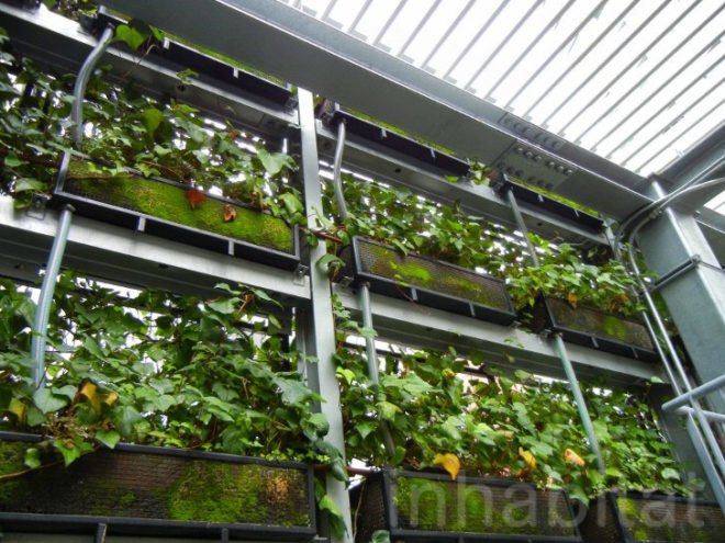 osaka, japan, japanese green building, green design, eco design, sustainable design, green wall, vertical garden, ivy wrapped building, green architecture, ivy wrapped bike parking lot, green bike parking garage, greenery wrapped building, ivy wrapped building