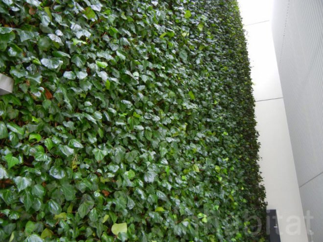 osaka, japan, japanese green building, green design, eco design, sustainable design, green wall, vertical garden, ivy wrapped building, green architecture, ivy wrapped bike parking lot, green bike parking garage, greenery wrapped building, ivy wrapped building