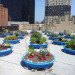 Hell's Kitchen Farm Project, Metro baptist Church, Lincoln Tunnel, rooftop Farm, Clinton Housing Development Company, Metropolitan Church of New York, local produce, sustainable produce, urban farming, Urban Harvest Benefit