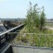 high line, nyc high line, manhattan, nyc, news, public space, green space, green walkways, walkway, nyc walkway, gansevoort, high line at the west side rail yards, west side rail yards, railways, green rail yards, nyc rail yards