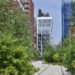 high line, nyc high line, manhattan, nyc, news, public space, green space, green walkways, walkway, nyc walkway, gansevoort, high line at the west side rail yards, west side rail yards, railways, green rail yards, nyc rail yards