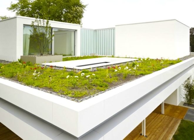 Roger Christ, Germany, House S, glazing, natural light, green roof, urban farming, rooftop garden, rooftop farming, urban development, green design, sustainable design, eco design, energy efficiency