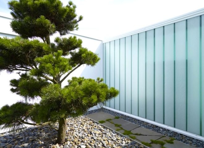 Roger Christ, Germany, House S, glazing, natural light, green roof, urban farming, rooftop garden, rooftop farming, urban development, green design, sustainable design, eco design, energy efficiency