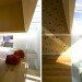 green design, sustainable design, eco-design, rock climbing, Japan, shinagawa-ku, daylighting, skylight, vertical, minimalism, small footprint, EANA
