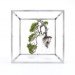 makoto azuma, botanical art, shiki formula, bonsai tree art, fragile tree installations, japanese artwork, tree art