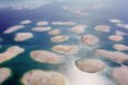 Dutch Docklands, Dubai, Emirates, The World, artificial islands, The Proverb, the Ome, floating islands, Paul van de Camp, green design, sustainable design, eco design
