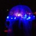 Umbrella Jellyfish costume, diy Umbrella Jellyfish costume, costume contest, diy halloween costume, eco costumes, eco halloween, eco halloween costume, green costumes, green halloween, halloween costume contest, handmade halloween costume, Inhabitat 2011 Green Halloween Costume Contest, organic halloween costume, Do-It-Yourself Halloween Costume, homemade halloween costume, green halloween costume contest