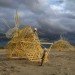 3D Printed Miniature Strandbeests, Theo Jansen, shapeways, 3d printing, strandbeests, mini strandbeests,
