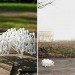 3D Printed Miniature Strandbeests, Theo Jansen, shapeways, 3d printing, strandbeests, mini strandbeests,