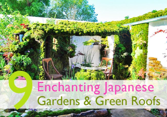 green roofs, green roof, osaka, kyoto, japanese green roofs, green roofs in japan, sustainability in japan, vertical gardens in japan, green wall, vertical garden, green walls in japan, green design, eco design, kinkaku-ji, golden pavilion, green steps, Kazuyuki Ishihara, secret garden, midori no tobira