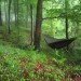 Jesse Brandzio, Dorset, Hooke Park, A Separate Place, eco-pod, eco-capsule, green design, sustainable design, eco-design, green design, architectural association, AV Customerson Award, Woodland Retreat