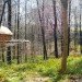 Jesse Brandzio, Dorset, Hooke Park, A Separate Place, eco-pod, eco-capsule, green design, sustainable design, eco-design, green design, architectural association, AV Customerson Award, Woodland Retreat