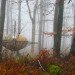 Jesse Brandzio, Dorset, Hooke Park, A Separate Place, eco-pod, eco-capsule, green design, sustainable design, eco-design, green design, architectural association, AV Customerson Award, Woodland Retreat
