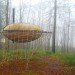 Jesse Brandzio, Dorset, Hooke Park, A Separate Place, eco-pod, eco-capsule, green design, sustainable design, eco-design, green design, architectural association, AV Customerson Award, Woodland Retreat