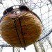 Jesse Brandzio, Dorset, Hooke Park, A Separate Place, eco-pod, eco-capsule, green design, sustainable design, eco-design, green design, architectural association, AV Customerson Award, Woodland Retreat