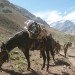 Water Issues,Renewable Energy,green technology,Green Lighting,Eco Tourism,Eco Travel,prefab architecture,solar panels,renewable energy,geodesic dome house,mule,aconcagua,argentina,andes mountains,green camping,