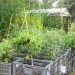 Recycled Materials,Recycling / Compost,Green Materials,Gardening,Eco Travel,DIY,Botanical,berlin,Prinzessinnengarten,social network gardening,open garden,community garden,berlin,mobile garden,recycled shipping container,organic garden,beehive,play house,working garden,organic vegetables
