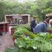 Recycled Materials,Recycling / Compost,Green Materials,Gardening,Eco Travel,DIY,Botanical,berlin,Prinzessinnengarten,social network gardening,open garden,community garden,berlin,mobile garden,recycled shipping container,organic garden,beehive,play house,working garden,organic vegetables