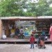 Recycled Materials,Recycling / Compost,Green Materials,Gardening,Eco Travel,DIY,Botanical,berlin,Prinzessinnengarten,social network gardening,open garden,community garden,berlin,mobile garden,recycled shipping container,organic garden,beehive,play house,working garden,organic vegetables