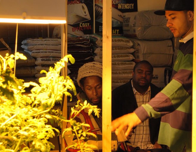 Urban gardening, City Grow, Bronx Hydro and Grow, aeroponics, hydroponic garden, roof top garden, edible garden, sustainable farming, vegetative roof