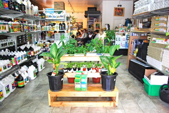 Urban gardening, City Grow, Bronx Hydro and Grow, aeroponics, hydroponic garden, roof top garden, edible garden, sustainable farming, vegetative roof