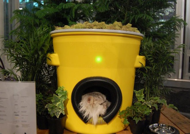 green design, eco design, sustainable design, Architects for Animals, Mayor's Alliance for NYC Animals, recycled materials, stray cats, recycled cat houses, Claes Oldenberg, Anemoi, FX Foule, Kathryn Walton, The American Street Cat