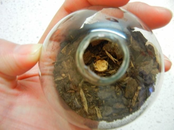 terrarium, terrariums, terrarium christmas ornament, terrarium holiday ornament, diy terrarium ornament, diy ornaments, diy christmas ornaments, holiday ornament how to