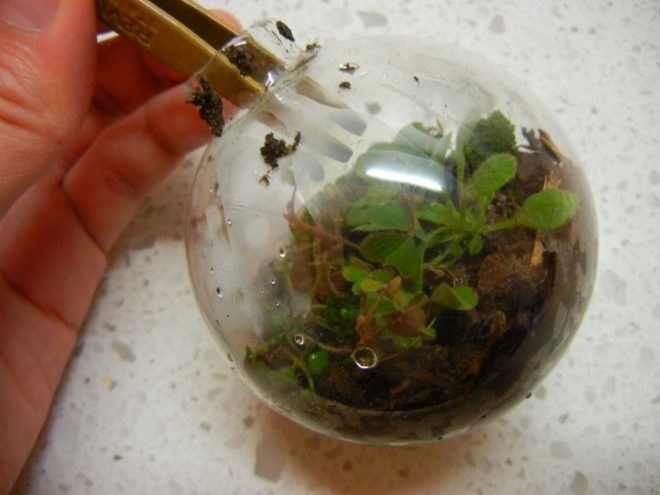 terrarium, terrariums, terrarium christmas ornament, terrarium holiday ornament, diy terrarium ornament, diy ornaments, diy christmas ornaments, holiday ornament how to