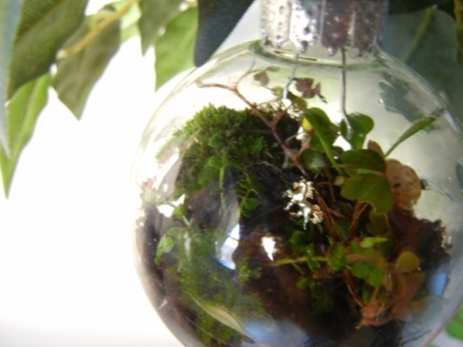 terrarium, terrariums, terrarium christmas ornament, terrarium holiday ornament, diy terrarium ornament, diy ornaments, diy christmas ornaments, holiday ornament how to