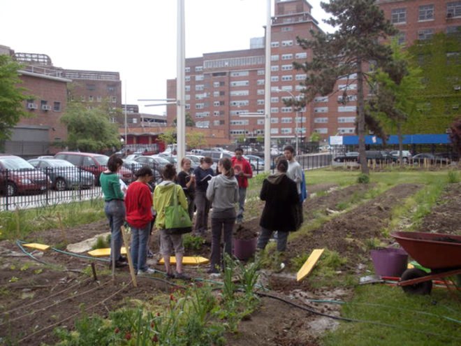 green design, eco design, sustainable design, Just Food, Farm School NYC, Sustainable living, urban farming, urban agriculture, food leaders, food justice nyc