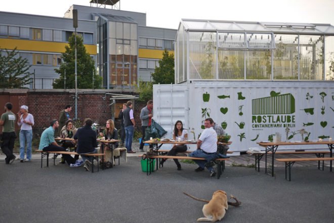 Frisch vom Dach, Berlin, germany, urban farming, urban agriculture, aquaponics, rooftop farm, sustainable food, adaptive reuse, upcycling, shipping containers,