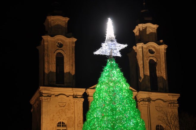 green design, eco design, sustainable design, green Christmas tree, eco christmas, Jolanta Šmidtienė, Kaunas Lithuania, Recycled plastic bottles, recycled Christmas Tree, Plastic bottle tree